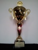 Puchary 2012