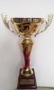 Puchary 2013