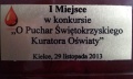 Puchary 2013