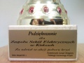 Puchary 2011